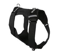 1 Set Dog Camera Cint Cint Holder Monte Marchetta Per Telecamere Che Catturano L'avventura Dal Petto O Posteriore Due Vista