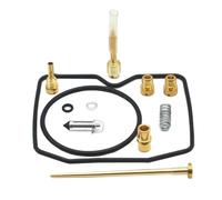 1 Set Kit Di Riparazione E Revisione Carburatore Per K&awasaki Prairie KVF300 1999 2000 2001 2002