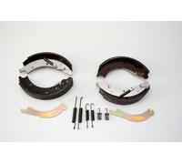 1 Set Knott Ganasce Freno 250x40 con Molle Idraulico Backmat 403909.001,25-4066