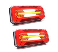 1 Set Luci Posteriori 12/24V Fanali Posteriori 7 Radio LED NEON E-Marcato...