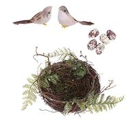 1 Set Nido Di Uccello Giocattolo Per Uccelli Casa Per Uccelli Artificiale Finto Nido Di Uccelli Di Uccello Uccelli Di Vimini Uccelli Finti Uova Di Uccelli Finte Rattan Manuale