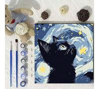 1 set Pittura ad olio digitale fai-da-te colorata dipinta a mano , decorazione artistica paesaggistica a parete con cornice interna, adatta per appendere sulla parete per il relax e come regalo 20 cm*