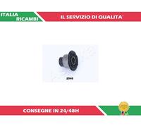 1 SUPPORTO CORPO ASSIALE POSTERIORE ASHIKA GOM-2548