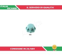 1 TAPPO RADIATORE ASHIKA 33-00-033