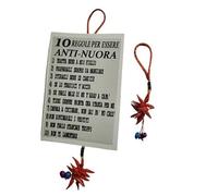 1 targa CARTONCINO 10X15CM cartello divertente 10 REGOLE PER ESSERE ANTI NUORA, FRASI UMORISTICHE AFORISMI da appendere in casa o bar ALTA 23 cm circa