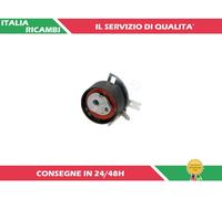 1 TENDICINGHIA CINGHIA DISTRIBUZIONE ASHIKA 45-05-536