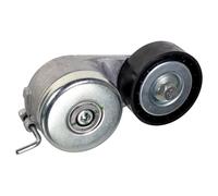1 TENDICINGHIA CINGHIA POLY-V FEBI BILSTEIN 22376 22376