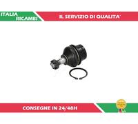 1 TESTA BRACCIO SOSPENSIONE ANTERIORE ASHIKA 73-01-131