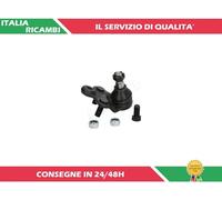 1 TESTA BRACCIO SOSPENSIONE ANTERIORE DX ASHIKA 73-04-420R