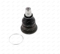 1 TESTA BRACCIO SOSPENSIONE ANTERIORE MOOG FIBJ13610 FI-BJ-13610
