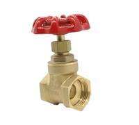 1 valvola a saracinesca manuale in ottone da 2-1/2 pollici, valvola a saracinesca a due vie con filettatura femmina e maniglia in acciaio giallo