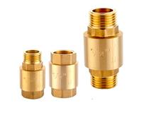 1 valvola di ritegno a molla con sollevamento verticale in ottone, filettatura maschio-maschio BSP da 1/2", valvola di non ritorno unidirezionale