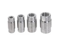 1 valvola di ritegno ad alta pressione in acciaio inossidabile 304 da 1/4" for gas e acqua, valvola unidirezionale DN8