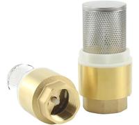 1 valvola di ritegno in ottone con schermo in acciaio, adatta for tubi 'acqua DN15/DN20/DN25.(1In)