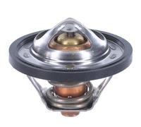 1 VALVOLA TERMOSTATICA MOTORAD 51382K 513-82K