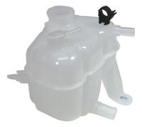 1 VASCHETTA ACQUA RADIATORE BIRTH 8973 8973