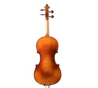 1 Violino Suono Professionale