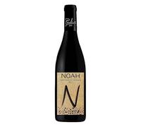 1 x 0,75 l - Noah - Bottiglia 0,75l - Cannonau di Sardegna D.O.C. - Cantine Paulis