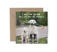 1 x biglietto di auguri - Ombrello Rain Thinking of You Sympathy Golden Retriever Cani Cucciolo Animali Animali Animali domestici Amore Mamma Papà Ragazze Ragazzi Amico #79781