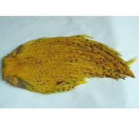 1 x collo di gallo indiano - Giallo - 'Top Quality' per Montaggio di Mosca di Peche
