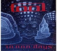 10,000 Days (2 LP) Vinile Nuovo Sigillato 10000