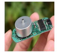 10/100 pezzi Micro Mini Motore Brushless DC 5V 6V BLDC con Chip di Azionamento Hall Medio Forte Magnetico per generatore fai da te(10PCS,Type A)