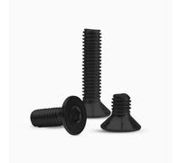 10-100pc M2 .5 M3 M4 Nero In Acciaio Inox 304 Esagonale A Esagono Incassato Piatto Svasata Testa A Brugola Vite Bullone(100pcs M2.5x5mm)