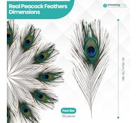 10-100x Naturale Pavone Piume Coda 25.4-78.7cm Per Bouquet Fai Casa Decorazione