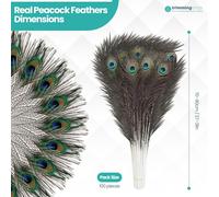 10-100x Naturale Pavone Piume Coda 25.4-78.7cm Per Bouquet Fai Casa Decorazione