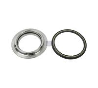 10.10458 Rondella Pressione Completo Con Paraolio Adatto A per Bpw ,DAF 865006