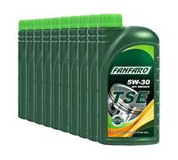 5 (5x1) Litro FANFARO 5W-30 Tse Olio / VW 502 00/505 00 / MB