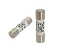 10/20/30/50/100 pezzi Fusibile solare 1000 V 30 A DC 10 * 38 mm 1-32 A Leghe metalliche for la protezione del sistema di alimentazione solare(30A,10pcs)