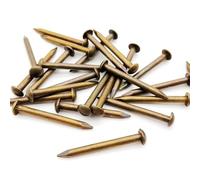 10/20/50/100 pezzi ottone bronzo diapositiva 1.2 1.5 2 2.8 mm Pure Copper Small Round Head Nail for Furniture Hinge Drum Jewelry Box (20 pezzi 2,8 x 20 mm)