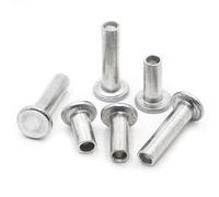 10/20/50pcs Rivetto semi-cavo a testa piatta in alluminio M2 M2.5 M3 M4 M5 M6 Bulloni semi-tubuler con gambo a presa GB875-20mm, M6 10 pezzi