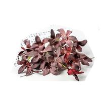 10/20 pezzi di fiori di seta artificiali testa gradiente orchidea fiore di magnolia per la casa decorazioni natalizie accessori per tornanti fai da te-vino rosso-10 pezzi