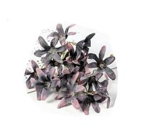 10/20 pezzi di fiori di seta artificiali testa gradiente orchidea fiore di magnolia per la casa decorazioni natalizie accessori per tornanti fai da te-nero viola-20 pezzi