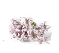 10/20 pezzi di fiori di seta artificiali testa gradiente orchidea fiore di magnolia per la casa decorazioni natalizie accessori per tornanti fai da te-viola-10 pezzi