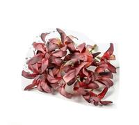 10/20 pezzi di fiori di seta artificiali testa gradiente orchidea fiore di magnolia per la casa decorazioni natalizie accessori per tornanti fai da te-rosso-10 pezzi