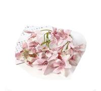 10/20 pezzi di fiori di seta artificiali testa gradiente orchidea fiore di magnolia per la casa decorazioni natalizie accessori per tornanti fai da te-rosa-20 pezzi