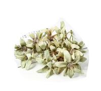 10/20 pezzi di fiori di seta artificiali testa gradiente orchidea fiore di magnolia per la casa decorazioni natalizie accessori per tornanti fai da te-verde-10 pezzi