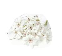 10/20 pezzi di fiori di seta artificiali testa gradiente orchidea fiore di magnolia per la decorazione domestica di Natale accessori per tornanti fai da te-bianco-10 pezzi