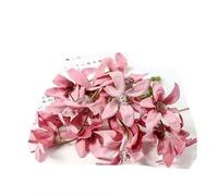 10/20 pezzi fiori di seta artificiali testa gradiente orchidea fiore di magnolia per la casa decorazioni natalizie accessori per tornanti fai da te-rosa rossa-10 pezzi