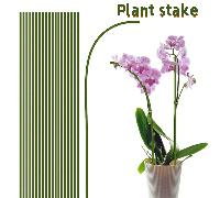 10/20 pezzi Supporto per piante / Asta per fiori / Asta di fissaggio per piante verdi, Asta per piante, Supporto per piante a stelo singolo pieghevole per il giardino, adatto per piante in vaso da int