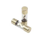 【10-2PCS】10 * 38MM Gold Plated Glass AGU Fuse Fuses Pack Car Audio Amp Amplifier 10 15 20 25 30A 40A 50A 60A 70A 80A 100A Car Fuse(10PCS_40A)