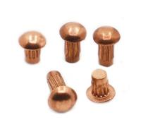 10-50 pezzi M2 M2.5 M3 M4 Rivetti in rame massiccio zigrinati for targhetta GB827(M2.5 50pcs,4mm)