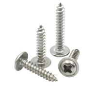 10-50 pezzi M2-M5 testa tonda a croce in acciaio inossidabile 304 con vite autofilettante a rondella(10mm,M5x10pcs)