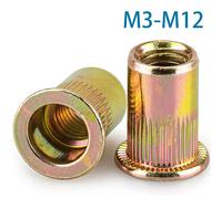 10-50 Pezzi M3 M4 M5 M6 M8 M10 M12 Rivetto Cieco Dado Testa Piatta Filettato Rivetto Inserto Dado Copertura Rivetto Dado Acciaio Al Carbonio Zincato