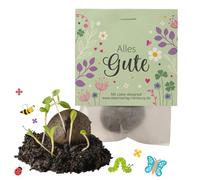 10 bombe di semi "Alles Gute" - piccolo regalo e regalini - bombe di semi per colleghi, amici e bambini - bombe floreali con semi di fiori e palline di semi - bombe da seedbombs come saluto