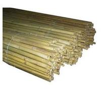 10 canne bamboo bambù pareti divisorie pali pomodori piante rampicanti h. 210 cm diametro 26-28