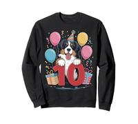 10° compleanno ragazzo ragazza 10 anni dieci Bovaro del Bernese Felpa
